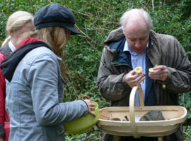 Nick Jardine scrutinising