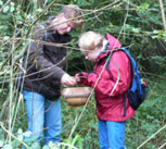 fungus-hunt2006.jpg