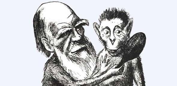 darwin-caricature.jpg darwin-caricature.jpg