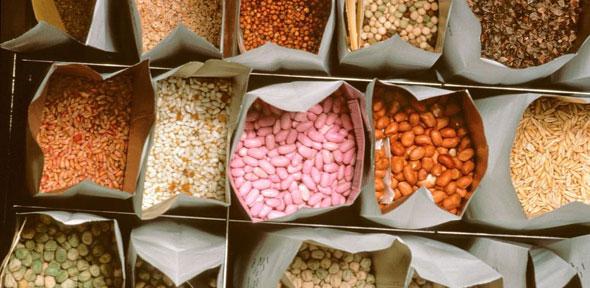 seeds-for-survival.jpg seeds-for-survival.jpg