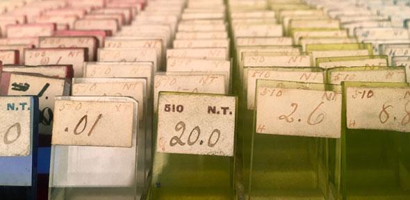 tintometer-t338.jpg tintometer-t338.jpg