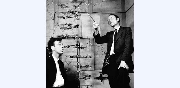 watson-crick-dna.jpg watson-crick-dna.jpg